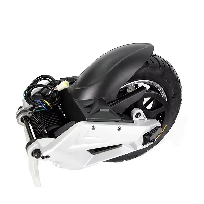 2026 Nieuwe, hoogwaardige QSMO - Mid Drive Conversion Kit 1000W recensie en prijs